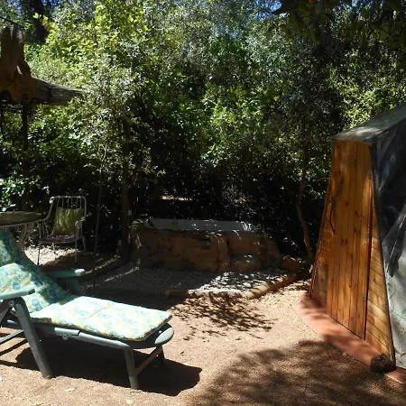 Glamping La Cabana De La Encina *