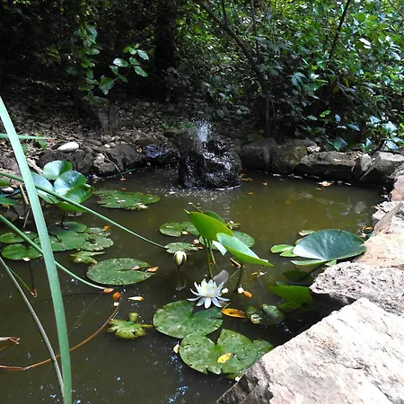 La Cabana De La Encina